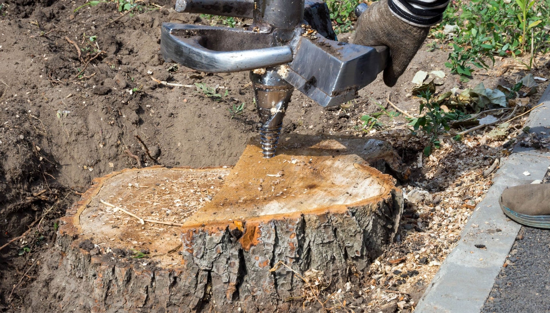 tree-stump-removal-min-min in Coon Rapids
